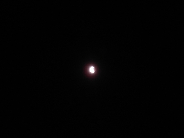 DSC01269_1.jpg